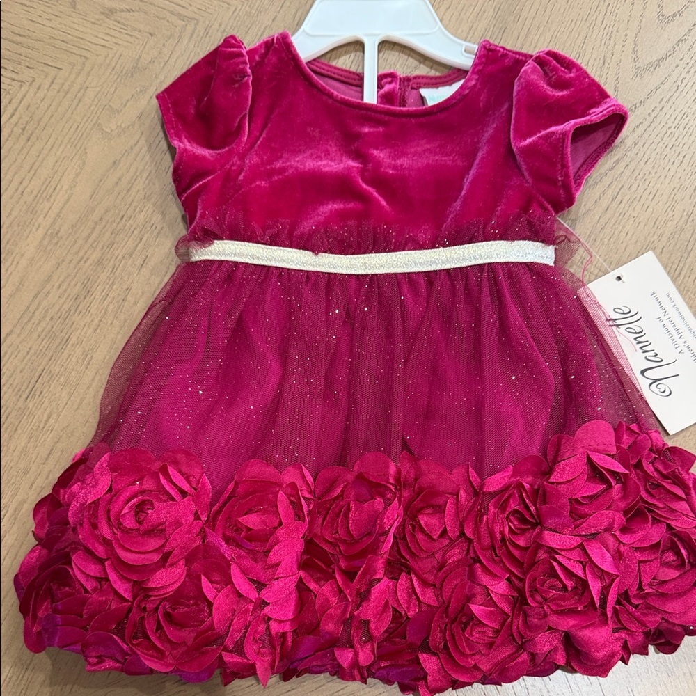 Nannette Fuchsia Velvet Dress with Rosette Hem